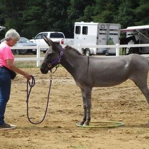 Meet your Posher, Terry